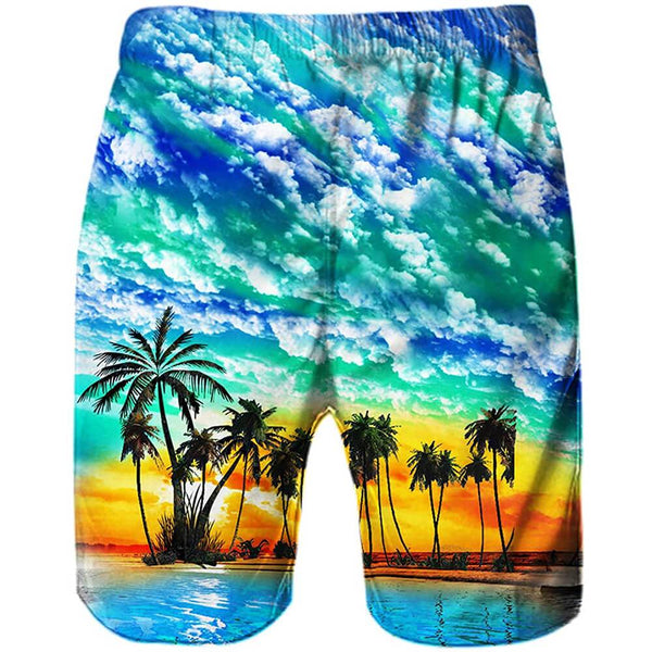 Hawaii Sunset Funny Swim Trunks