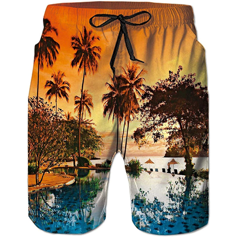 Sunset Palm Tree Funny Swim Trunks